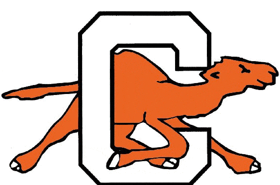 Campbell Fighting Camels 1993-2004 Alternate Logo iron on transfers for clothing